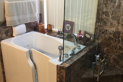 walk--in-tub-shower-conversion--sentral-with-framless-glass-doors